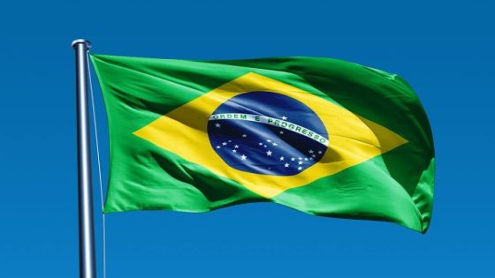 ما معنى ألوان علم البرازيل؟
